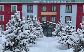 Snow Life Hotel